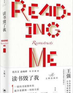 读书毁了我-中国合伙人原型-新东方联合创始人王强-PDF电子书-下载
