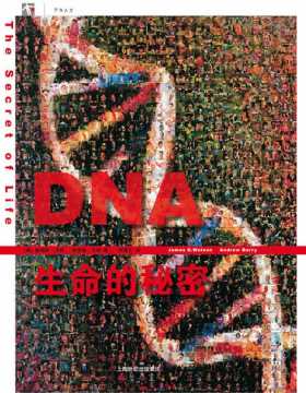 DNA：生命的秘密 PDF电子书 下载