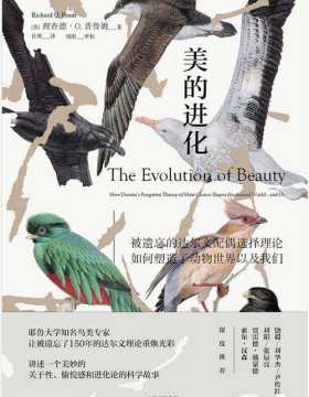 美的进化：被遗忘的达尔文配偶选择理论，如何塑造了动物世界以及我们 PDF电子书