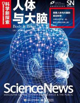 科学新探索 人体与大脑（全彩）PDF电子书下载
