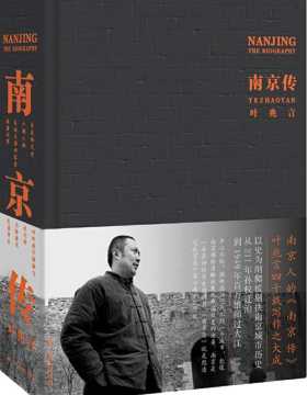 南京传 透过南京看中国历史，读懂南京，就是读懂中国历史 PDF电子书下载