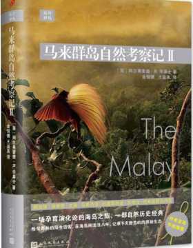 远行译丛：马来群岛自然考察记II 一场孕育演化论的海岛之旅，一部自然历史经典