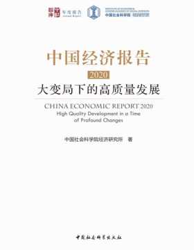 中国经济报告2020：大变局下的高质量发展 中国社会科学院经济研究所集体撰写