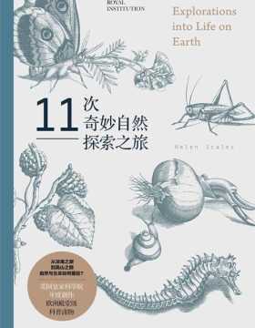 11次奇妙自然探索之旅 欧洲殿堂级科普读物，关于自然与生命的重磅科普之书